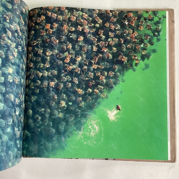4 /💲20 🤑 Unforgettable Behaviour animal book - Picture 2 of 6